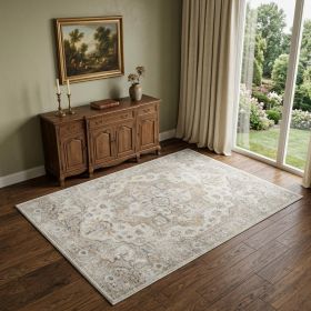 4' X 6' Silver Oriental Power Loom Washable Area Rug