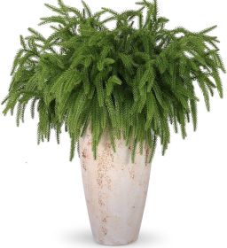 12 Pcs Artificial Norfolk Pine Branches